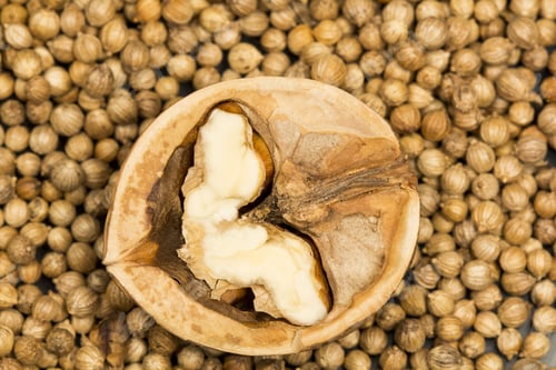 Preview: Coriander Seeds With Half Of Walnut