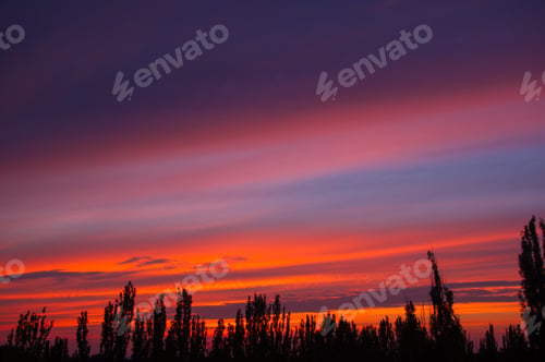 Preview: Landscape With Dramatic Light - Orange Clouds And The Outline Of Trees At Sunset