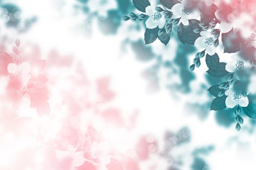 Preview: White Jasmine. The Branch Delicate Spring Flowers