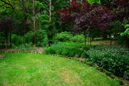 Preview: Spring Garden In The Park