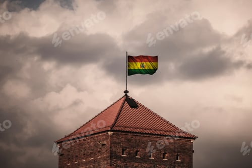 Preview: Flag With Original Proportions. Closeup Of Grunge Flag Of Bolivia