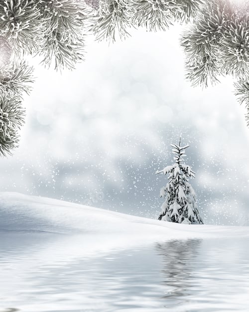 Preview: Winter Forest. Winter Landscape.