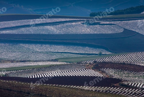 Preview: Agricultural Landscape On Springtime Ot The Red Lands Landscape In Dongchuan District Of Yunnan