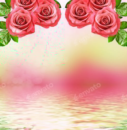 Preview: Pink Roses Above Water Surface Background