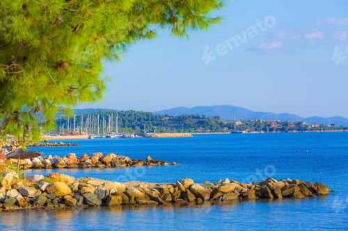 Preview: Summer Vacation Travel Background With Green Pine Forest Tree Branch And Blue Sea Marina In Nikiti