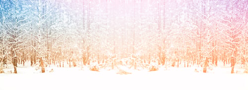Preview: Blurred Background. Frozen Winter Forest With Snow Covered Trees. Russia.
