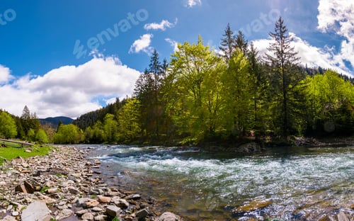 Preview: Forest River In Mountains. Lovely Springtime Countryside Scenery