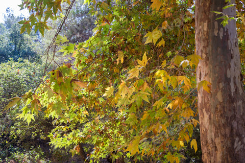 Preview: Visiting Ein Hemed And Castel National Parks, Israel