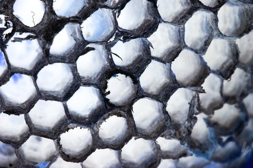 Preview: Abstract Composition With Wasp Comb