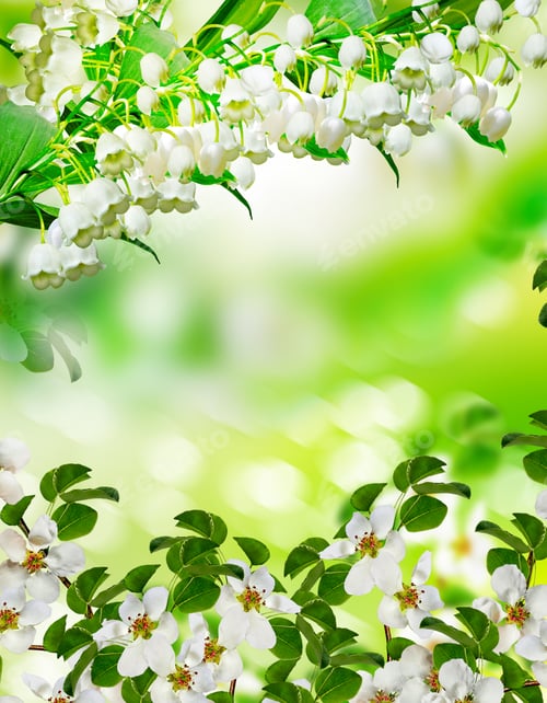 Preview: Blooming Apple Tree