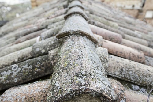 Preview: Old Roof Tiles, Detail Of Some Old Roof Tiles, Clay
