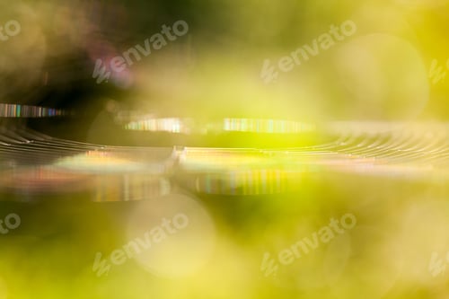 Preview: Abstract Composition With Spider Web Details And Natural Colors