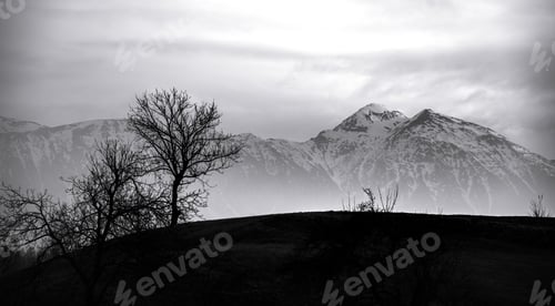 Preview: Trees And Mountains