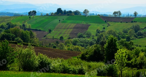 Preview: Spring Green Agricultural Fields, Rural Landscape