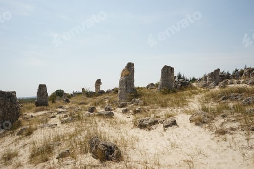 Preview: Pobiti Kamani (The Stone Desert), A Desert-Like Rock Phenomenon Located On The North West Varna
