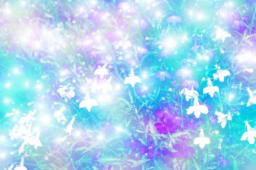 Preview: White Bright Daisy Flowers On A Background Of The Summer Landscape.