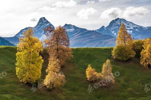 Preview: Autumn In Davos, Grisons, Switzerland