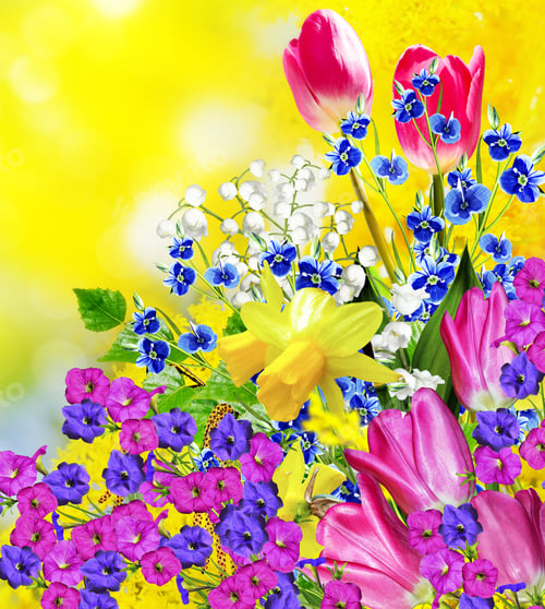 Preview: Pink And Yellow Flowers Tulips And Daffodils