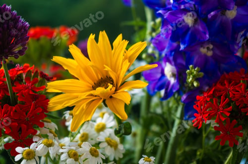 Preview: A Bouquet Of Bright Spring Flowers Of Various Types