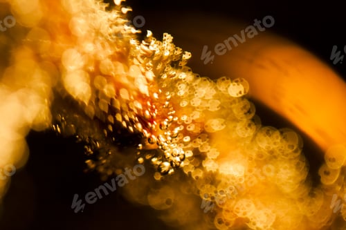 Preview: Abstract Underwater Games With Bubbles And Light