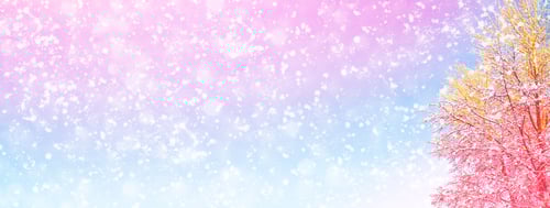 Preview: Frozen Winter Forest With Snow Covered Trees.