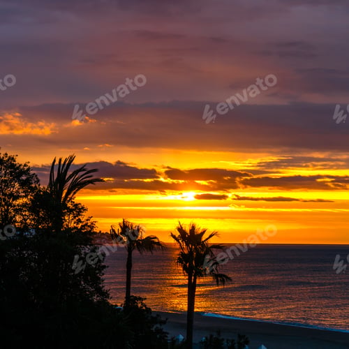 Preview: Silhouette Of Palm Trees At Sunset, Spain