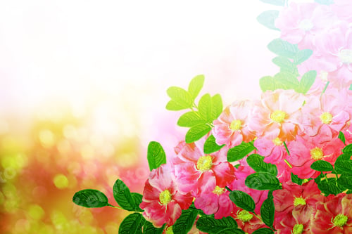 Preview: Summer Landscape. Delicate Wild Rose Garden Flowers