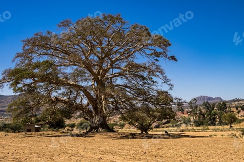 Preview: Landscape Near Lalibela, Ethiopia, Africa