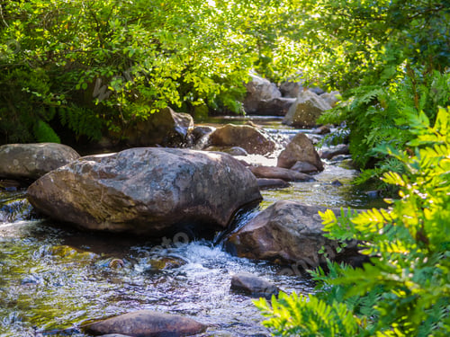 Preview: Mountain Stream "Rio De La Miel" Algeciras, Cadiz, Andalusia, Spain, During Spring Time