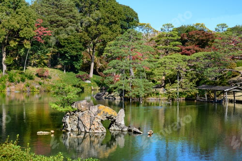 Preview: Autumn Landscape In Tokyo Garden.