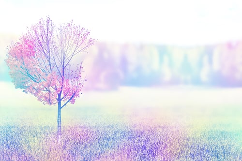 Preview: Autumn Landscape. Colorful Beautiful Autumn Trees In The Park