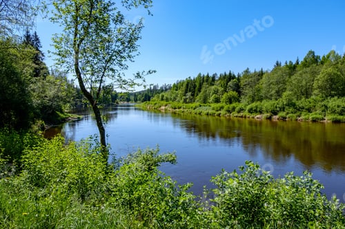 Preview: Calm River With Reflections Of Trees In Water In Bright Green Foliage In Summer In Forest Near