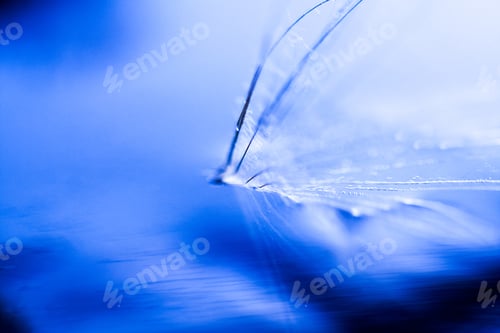 Preview: Macro, Abstract Composition With Colorful Water Drops On Dandelion Seeds