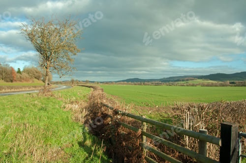 Preview: Scraggy Old Hedge And Fence Along The Roadside.