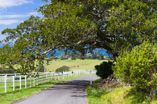 Preview: Countryside In Australia