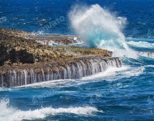 Preview: Christoffel National Park Views Around The Small Caribbean Island Of Curacao