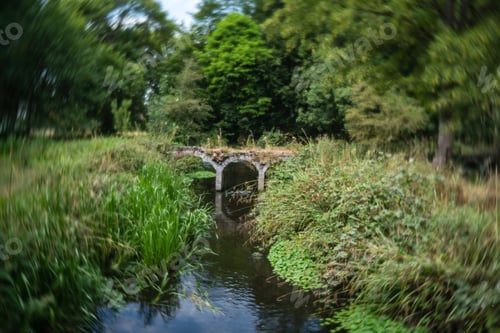 Preview: Small Old Arched Bridge In Morden Hall Park Park, London Uk