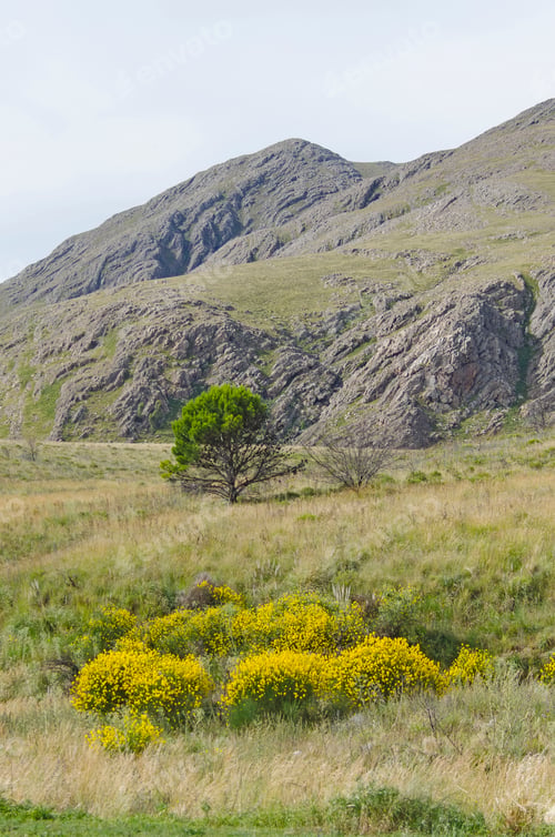 Preview: The Mountain In The Argentine Village