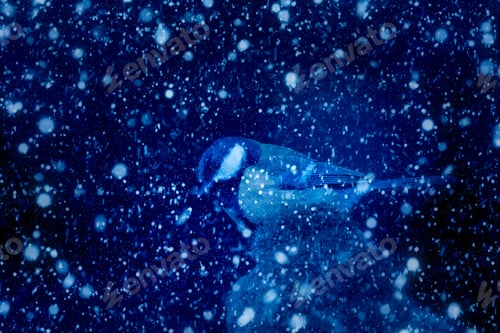Preview: Winter Season And Animals. Falling Snow. Blue Nature Background. Great Tit.
