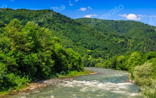 Preview: River Flows Among Of A Green Forest At The Foot Of The Mountain In Picturesque Nature Of Rural Area
