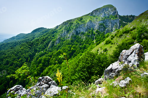Preview: Summer Landscape With Mountains Covered In Forest