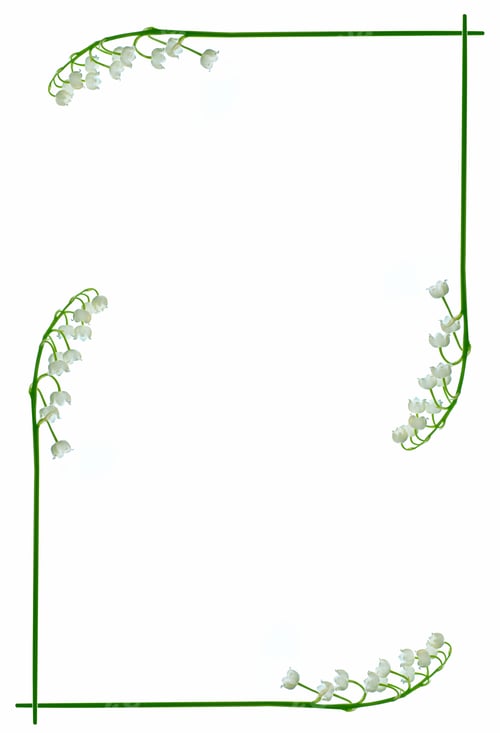 Preview: Lily Of The Valley Flower On White Background
