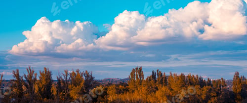 Preview: Urban Autumn Landscape With Trees In Sunlight