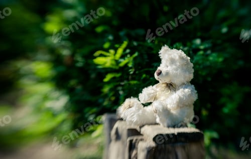 Preview: White Teddy Bear On The Old Garden Bench In The Summer Garden