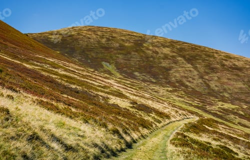 Preview: Footpath Through Hills With Forest. Beautiful Nature Scenery In Fine Early Autumn Weather