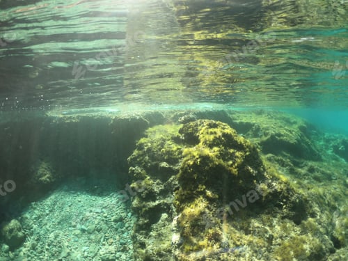 Preview: Underwater Photo Of Tropical Coral Reef With Crystal Clear Turquoise Sea