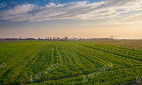 Preview: Spring Field Landscape