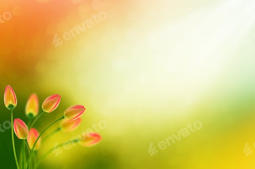 Preview: Bright And Colorful Flowers Tulips On The Background Of Spring Landscape.