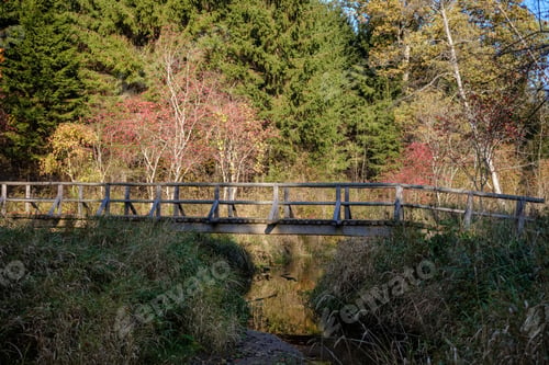 Preview: Wooden And Composite Material Foot Bridge Over Water In Green Summer Forest Surroundings With Lake