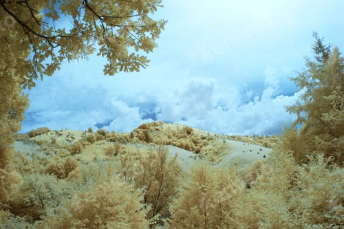 Preview: Infrared Landscape And Details